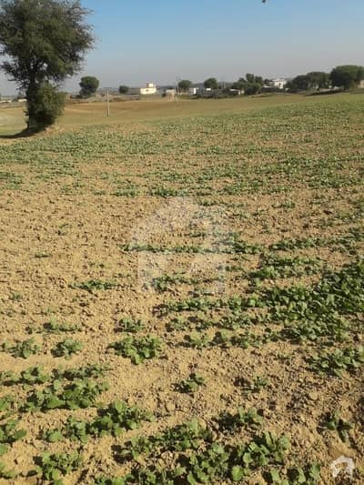 چکری روڈ راولپنڈی میں 670 کنال زرعی زمین 10.72 کروڑ میں برائے فروخت۔ چکری روڈ راولپنڈی میں 670 کنال زرعی زمین 10.72 کروڑ میں برائے فروخت۔