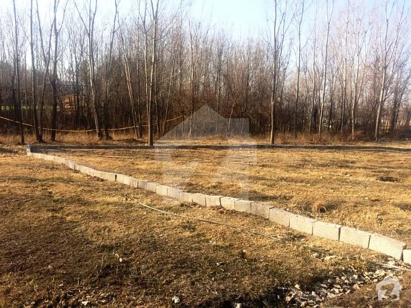 Residential  Plot Is Available At Good Location