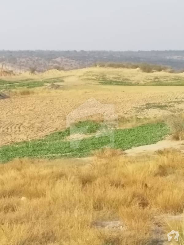 1017 Kanal Agricultural Land For Sale Pindi Ghaib Pindigheb, Attock