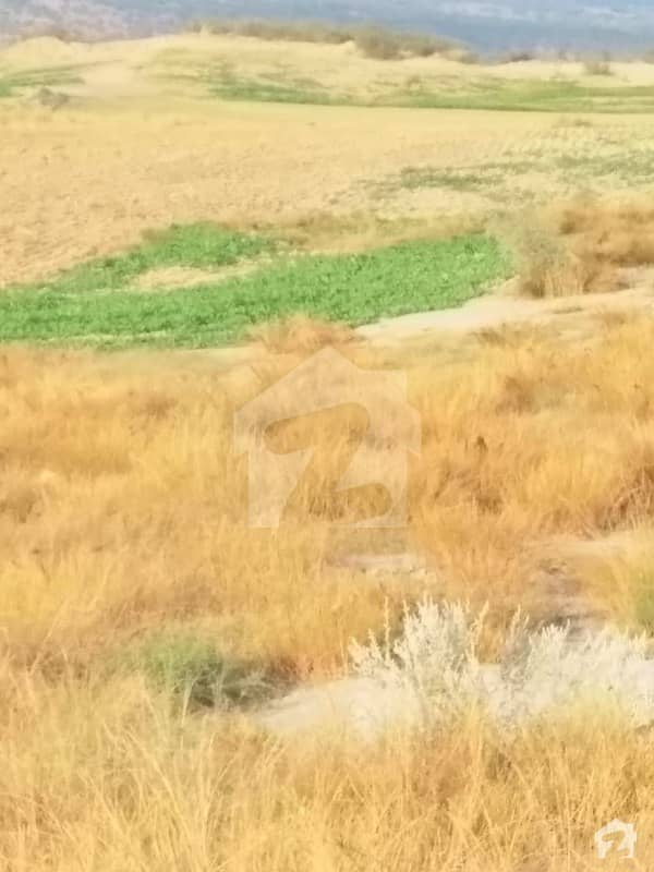 1017 Kanal Agricultural Land For Sale Pindi Ghaib Pindigheb, Attock ID19926673