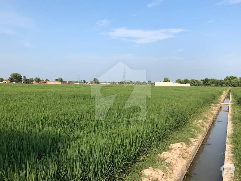 Land Is Available For Sale In Jhang District