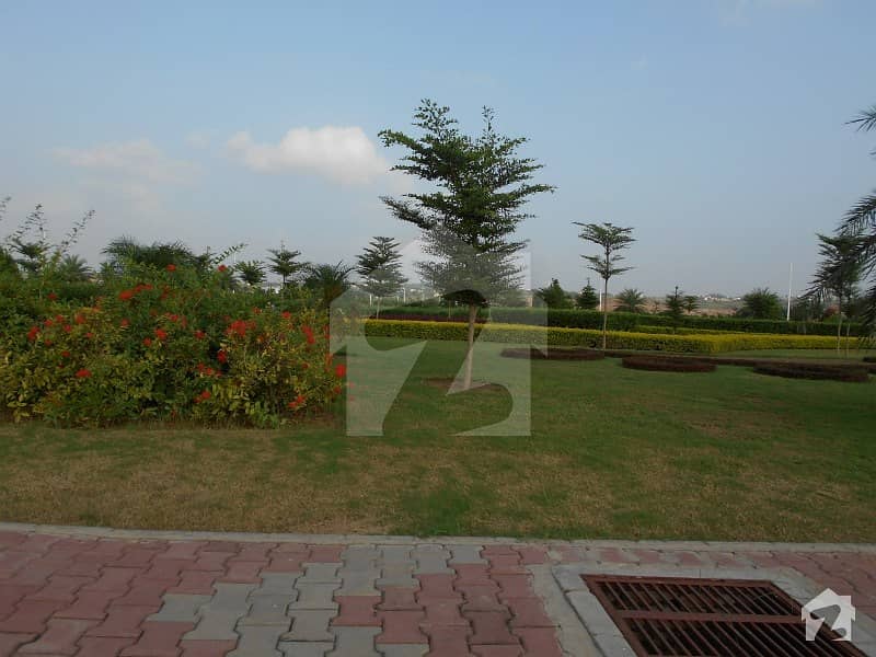 D Block Gulberg Farm House Land Available For Sale