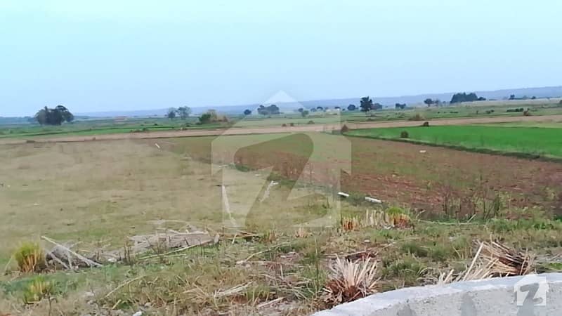 Main Adiala Road Agriculture Land For Sale