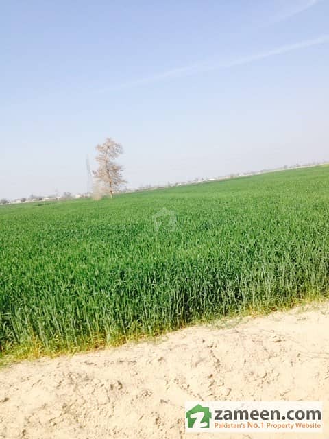 40 Acres Agriculture Land For Sale