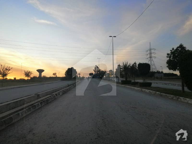 500 Sq Yard Pair Plots Back Open Street 59 Sector C 500 Sq Yard Pair Plots Back Open Street 59 Sector C