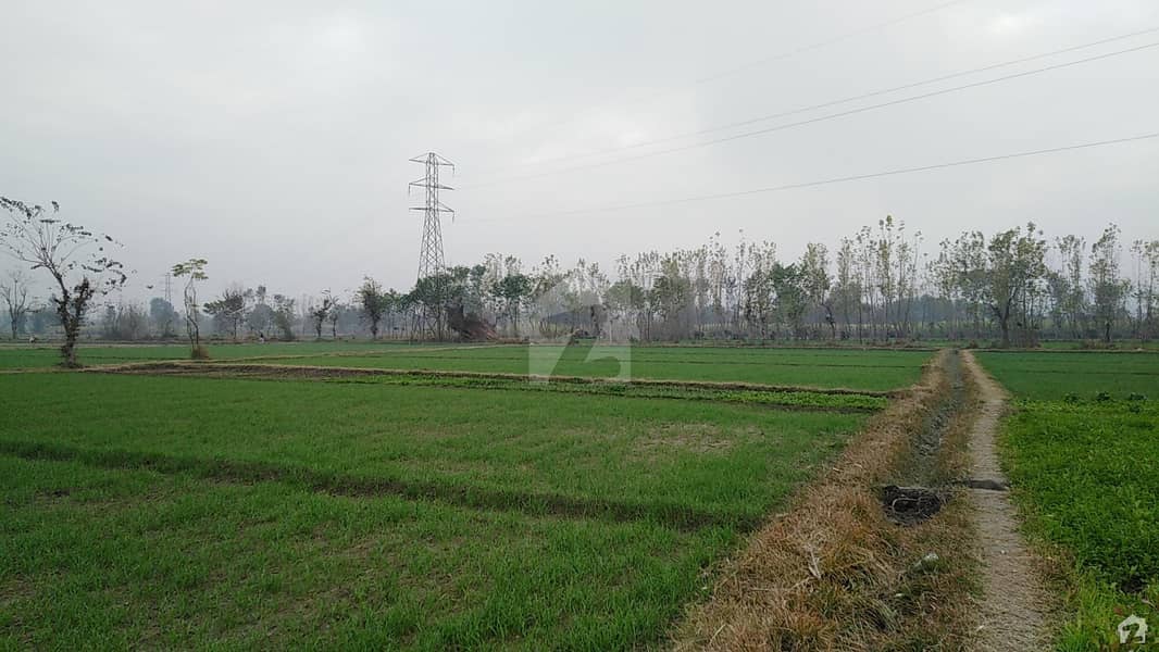 ورسک روڈ پشاور میں 4 کنال زرعی زمین 45 لاکھ میں برائے فروخت۔