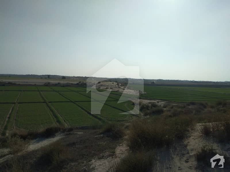 Agricultural Land Is Available For Sale Others, Multan ID16353313