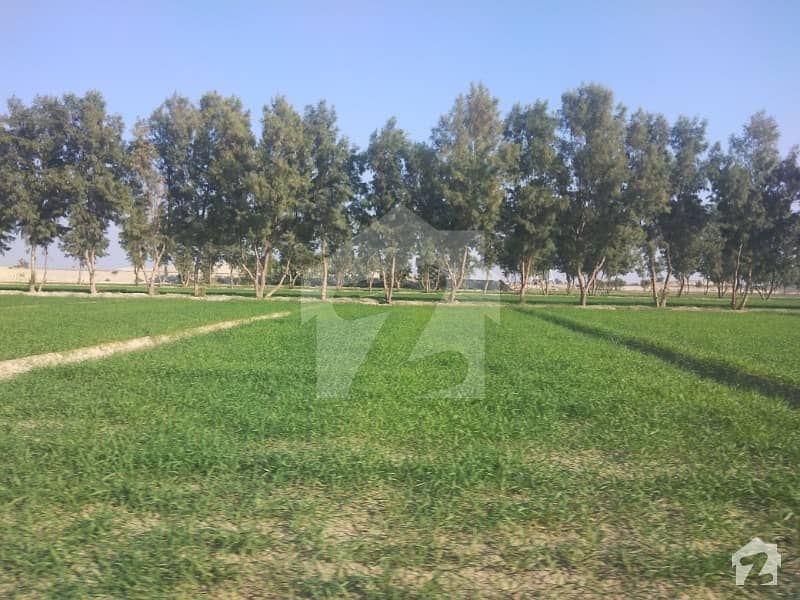 55 Acre Army Allotted Agriculture Land For Sale Northern Bypass, Multan
