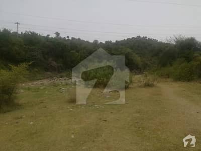 Poultry Farm Is Available For Rent In Chattar