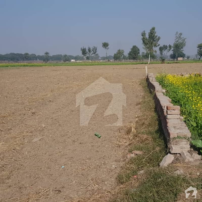 Agriculture Land Near Main Lahore  Sargodha Road Near To Grid Station