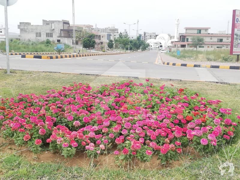 ایم پی سی ایچ ایس - بلاک سی 1 ایم پی سی ایچ ایس ۔ ملٹی گارڈنز بی ۔ 17 اسلام آباد میں 8 مرلہ رہائشی پلاٹ 50 لاکھ میں برائے فروخت۔