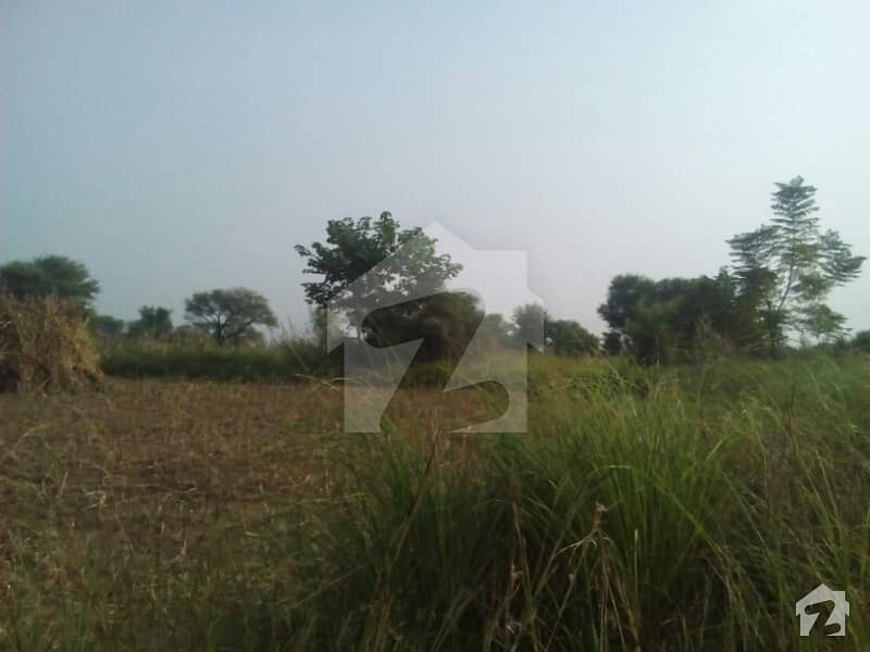2200 Kanal Land Is Available For Sale