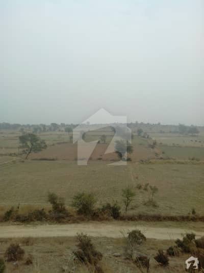 815 Kanal Agriculture Land For Sale On Old GT Road