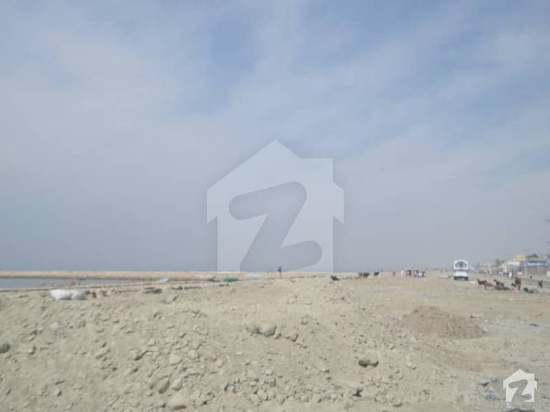 100 Acre Open Land Available For Sale In Mouza Shabi 4 Acre Palairi Road Front Gwadar