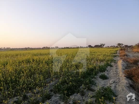 155 Kanal Chakwal Agricultural Land For Sale