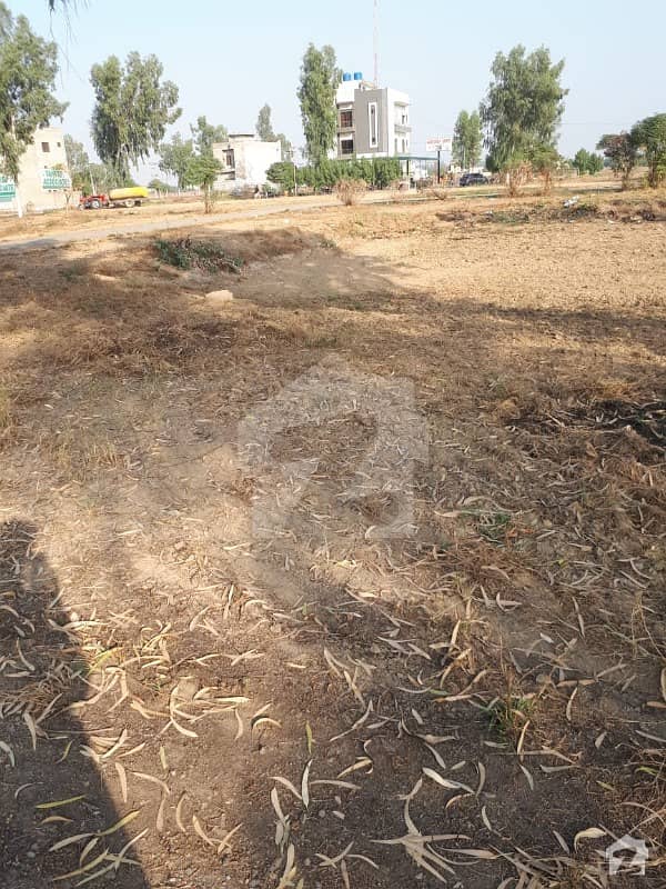 Pair Of Commercial Plots In Chinar Bagh 4 Marla Commercial Pair On 80 Feet Road