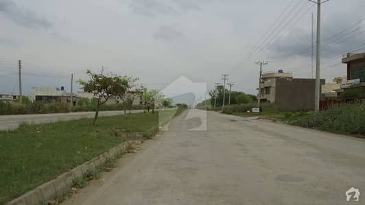 Plot