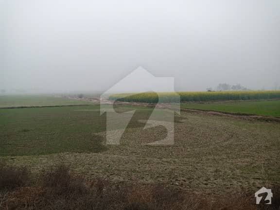 28 Kanal Land Is Available For Sale