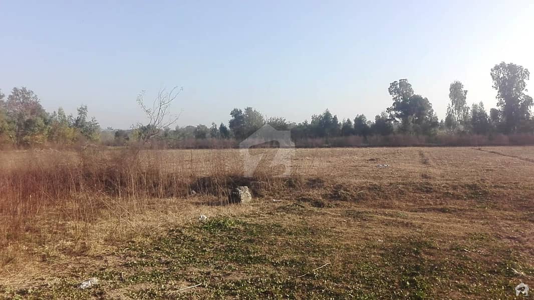 چک بیلی خان راولپنڈی میں 200 کنال زرعی زمین 10 کروڑ میں برائے فروخت۔