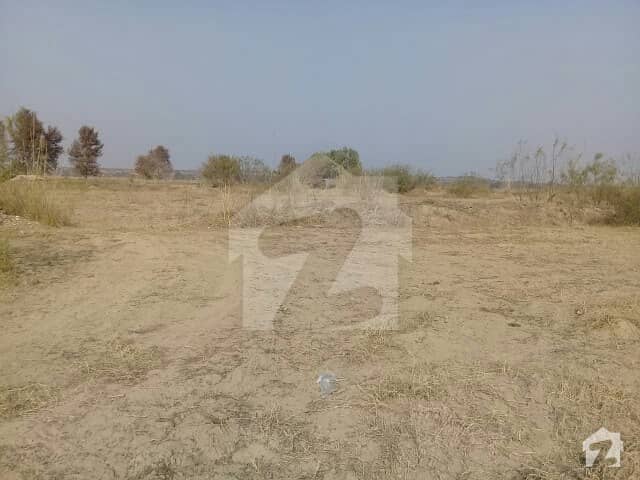 Fully Cultivated 240 Kanals , Agricultural Land For Sale