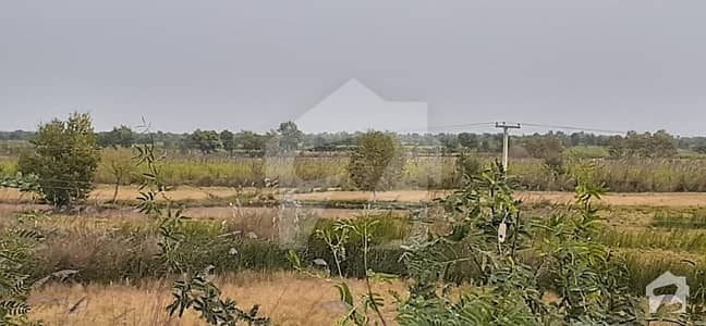 25 Acre Land Near Wazirabad With Road Acces