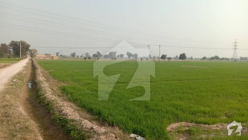 Agricultural Land Is Available For Sale Agricultural Land Is Available For Sale