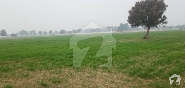 District Bahawalnagar Tehsil Fort Abbas Chak No 303a 42 And Half Acre 340 Kanal Agricultural Land For Sale