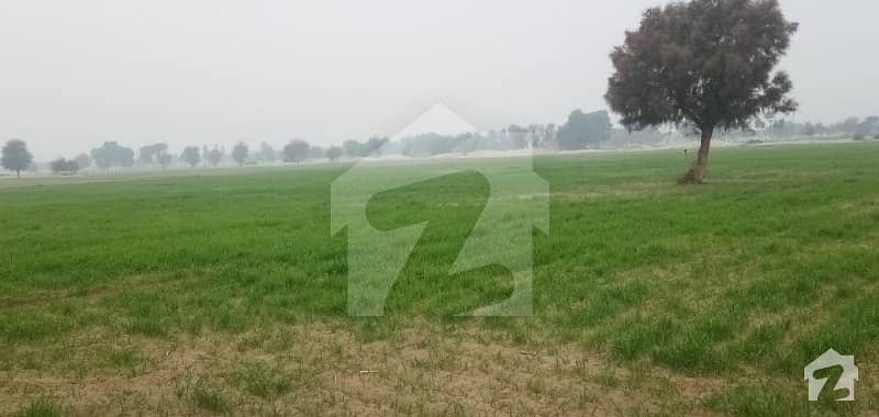 District Bahawalnagar Tehsil Fort Abbas Chak No 303a 42 And Half Acre 340 Kanal Agricultural Land For Sale