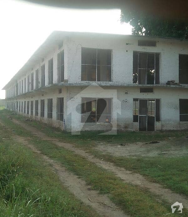 Poultry Shed Is Available For Rent Poultry Shed Is Available For Rent