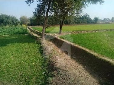 4 Acre Land Is Available For Sale Chishtian City to 12 Km distance 
Village Name 128 / Murad