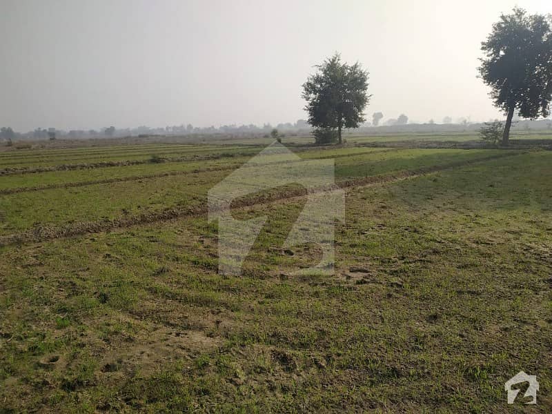 13 ACRE AGRICULTURE LAND IS AVAILABLE FOR SALE IN JHANG GOJRARA ROAD