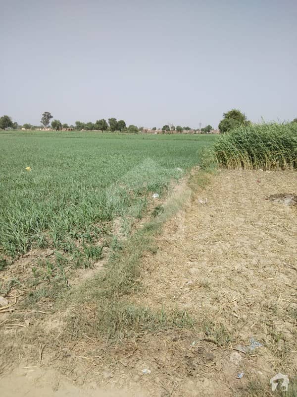 گا گا لاہور میں 8 کنال زرعی زمین 55 لاکھ میں برائے فروخت۔