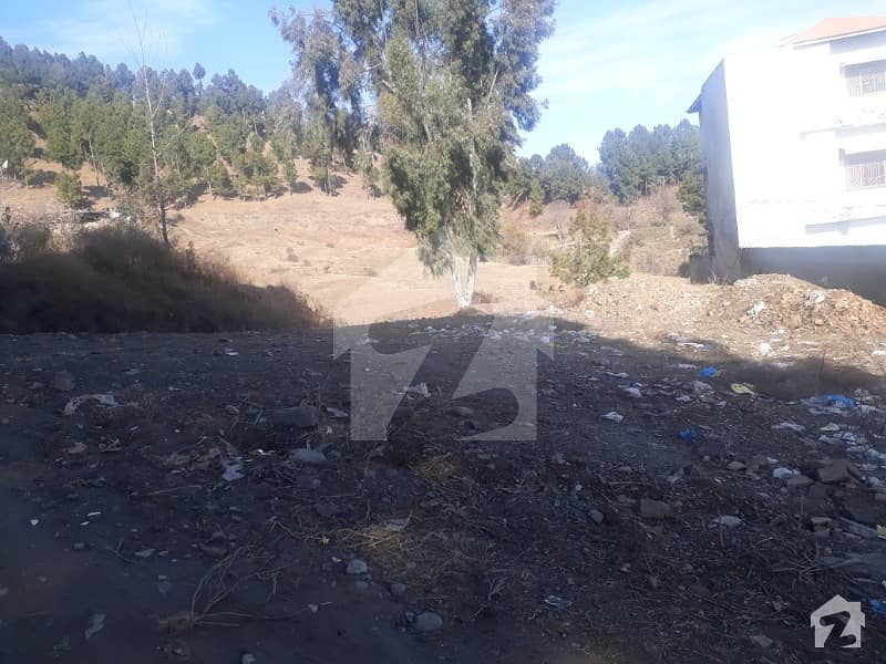 Plot Off Kaghan Colony For Sale