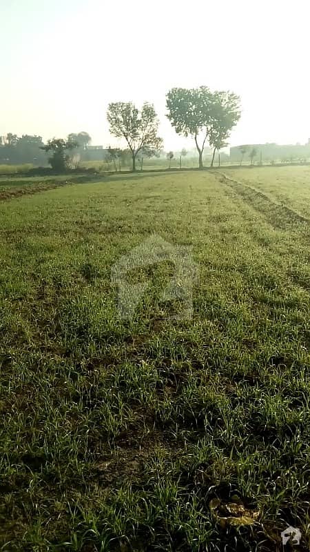 4 Kanal Agricultural Land For Sale In Moza Sadhoki Near Defence Road
