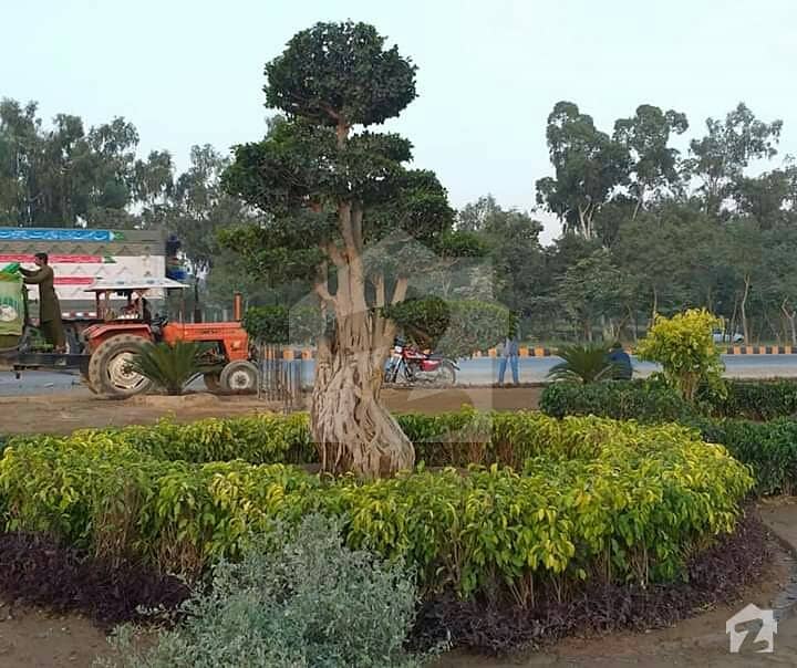 Faisal Hills B Block 5 Marla File Available For Sale Prime Location