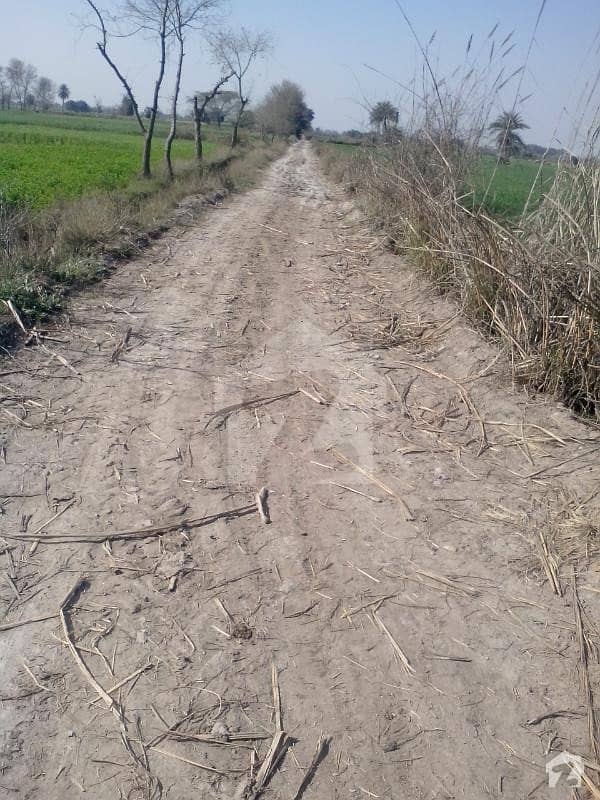Fertile Agriculture land At Carpeted road 85 Acres Muza Marblocha Distt Nankana 2 Acre Front on road