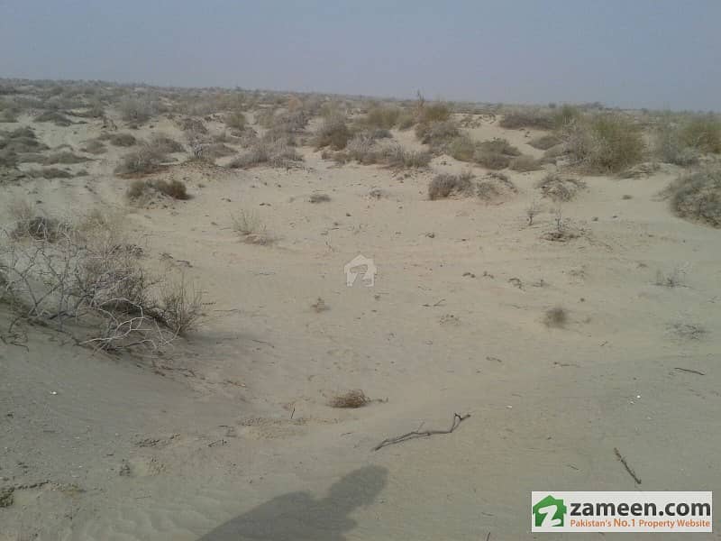 40 Acre Agricultural Land For Sale Tando Adam, Sanghar ID1821219