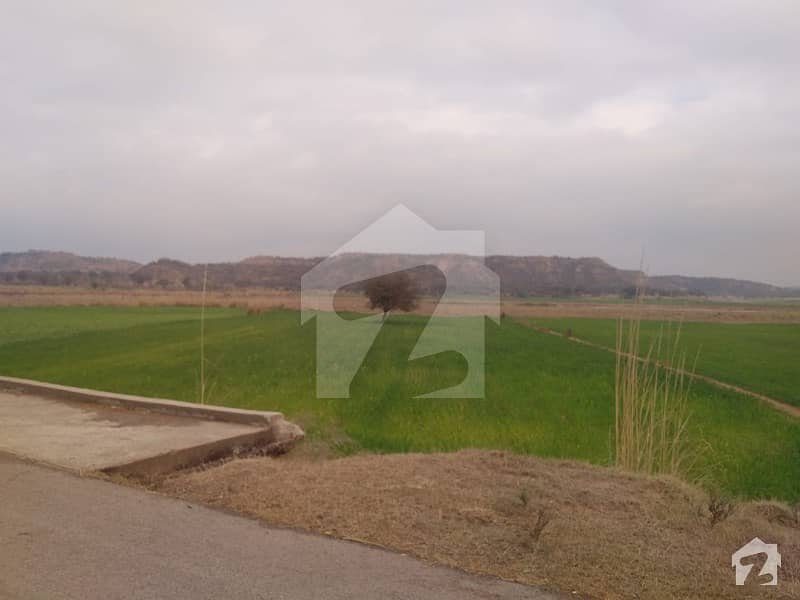 Agricultural Land For Sale In Domeli Region