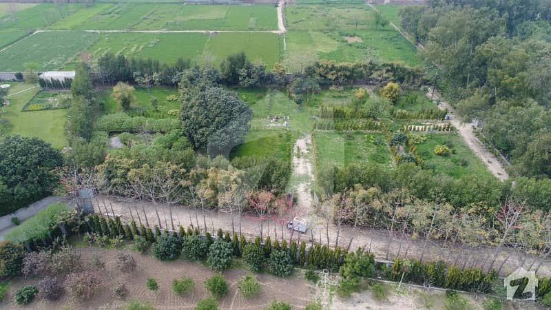 16 Kanal Farmhouse Land For Sale In Bedian Road