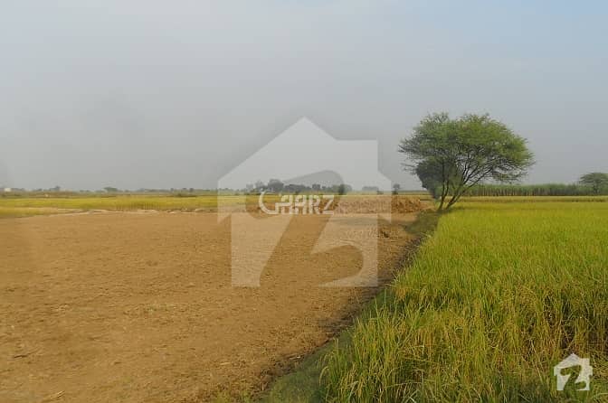 8 Acre Agriculture Land For Sale