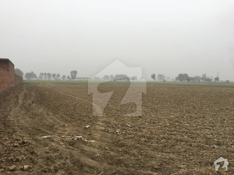 فیروزپور روڈ لاہور میں 26 کنال زرعی زمین 3.25 کروڑ میں برائے فروخت۔