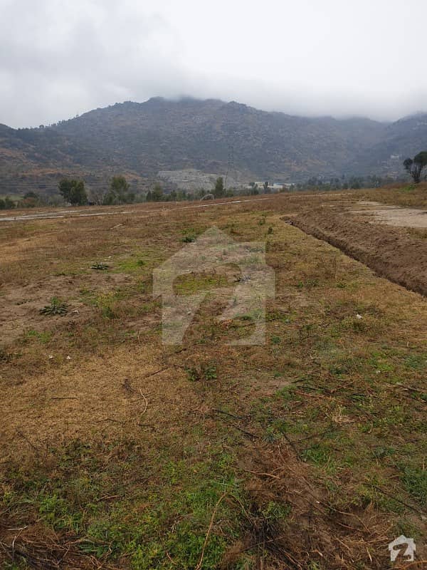 14 Marla Plot Available For Sale