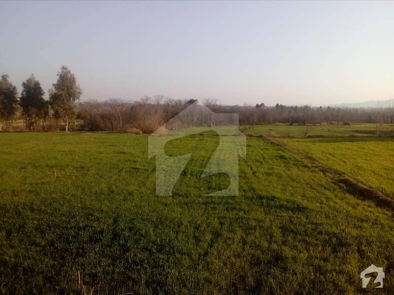 55 Kanal Cheap Agriculture Land For Farmhouse purpose sale near Hasanabdal Sabzpeer Road