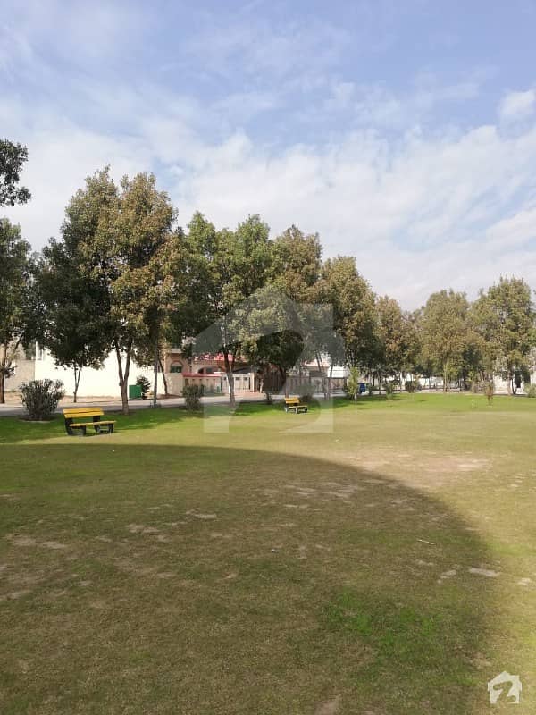 50 Punjab Estate Offers 04 Marla Commercial Plot  For Sale In Chinar Bagh At Good Location