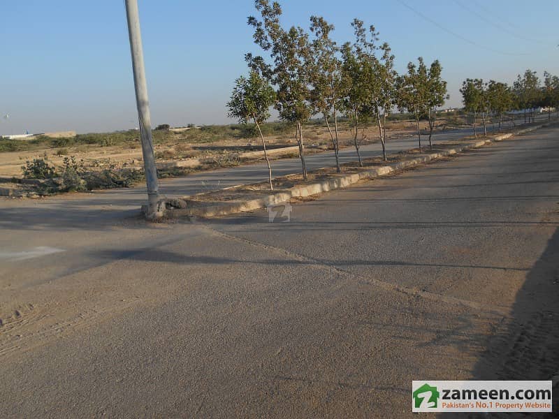 Residensional Plot for sale in Baloch Colony