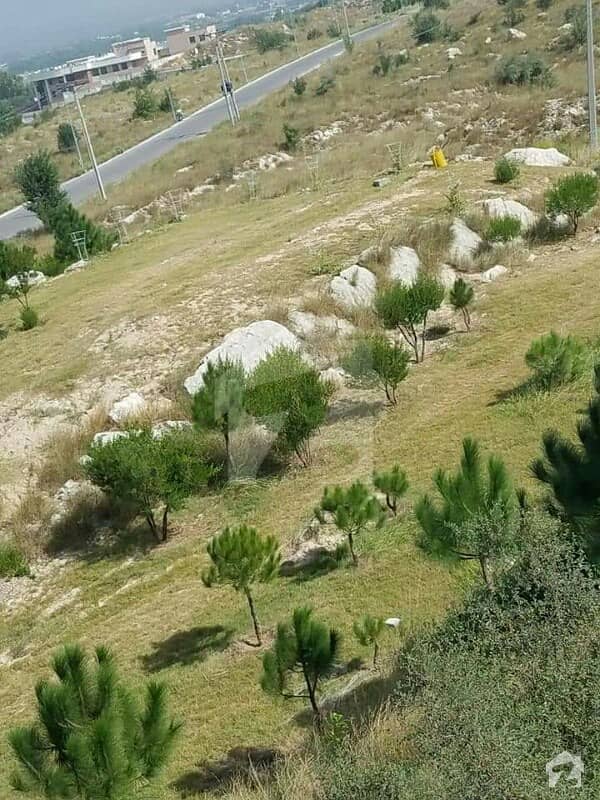 Echs D18 Islamabad 600 Yds Block G High Ground Plot For Sale Engineers