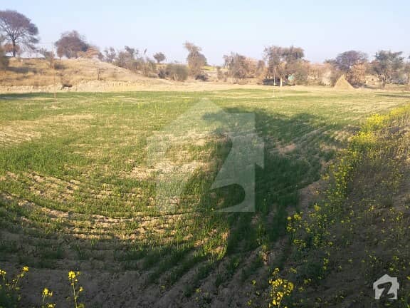 Agricultural Land For Sale In Tableeghi Markaz