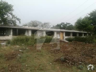 Poultry Sheds With 20 Kanal Land Suitable For Poultry Sheeep  Goat Farming Dairy Farming Etc