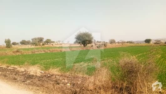 جوہر آباد روڈ خوشاب میں 12000 کنال زرعی زمین 1.28 ارب میں برائے فروخت۔