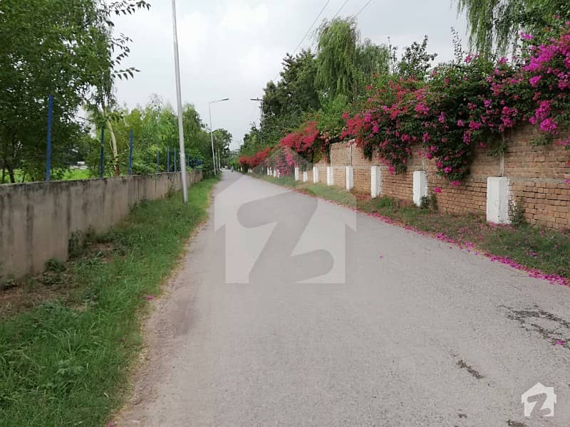 Beautiful 20 Kanal Plot For Sale In Chak Shahzad